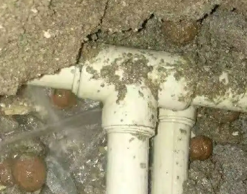 彰武测漏水多少钱