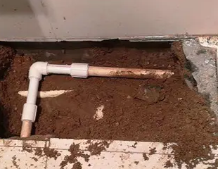 彰武测漏水哪家好